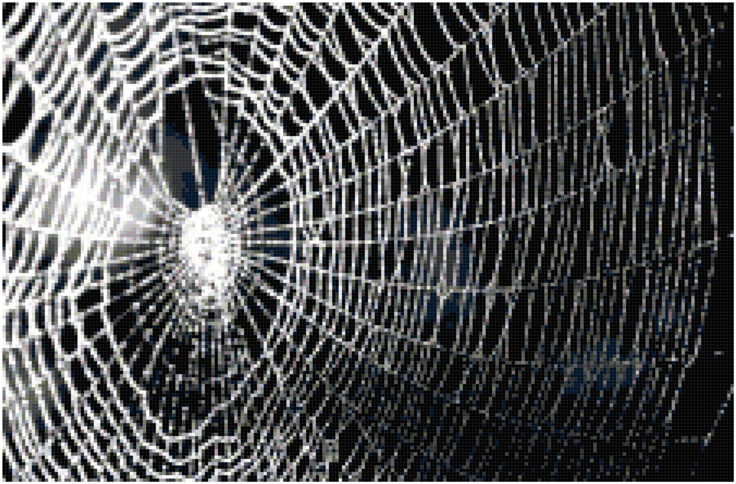 Spiderweb Jacket - Etsy