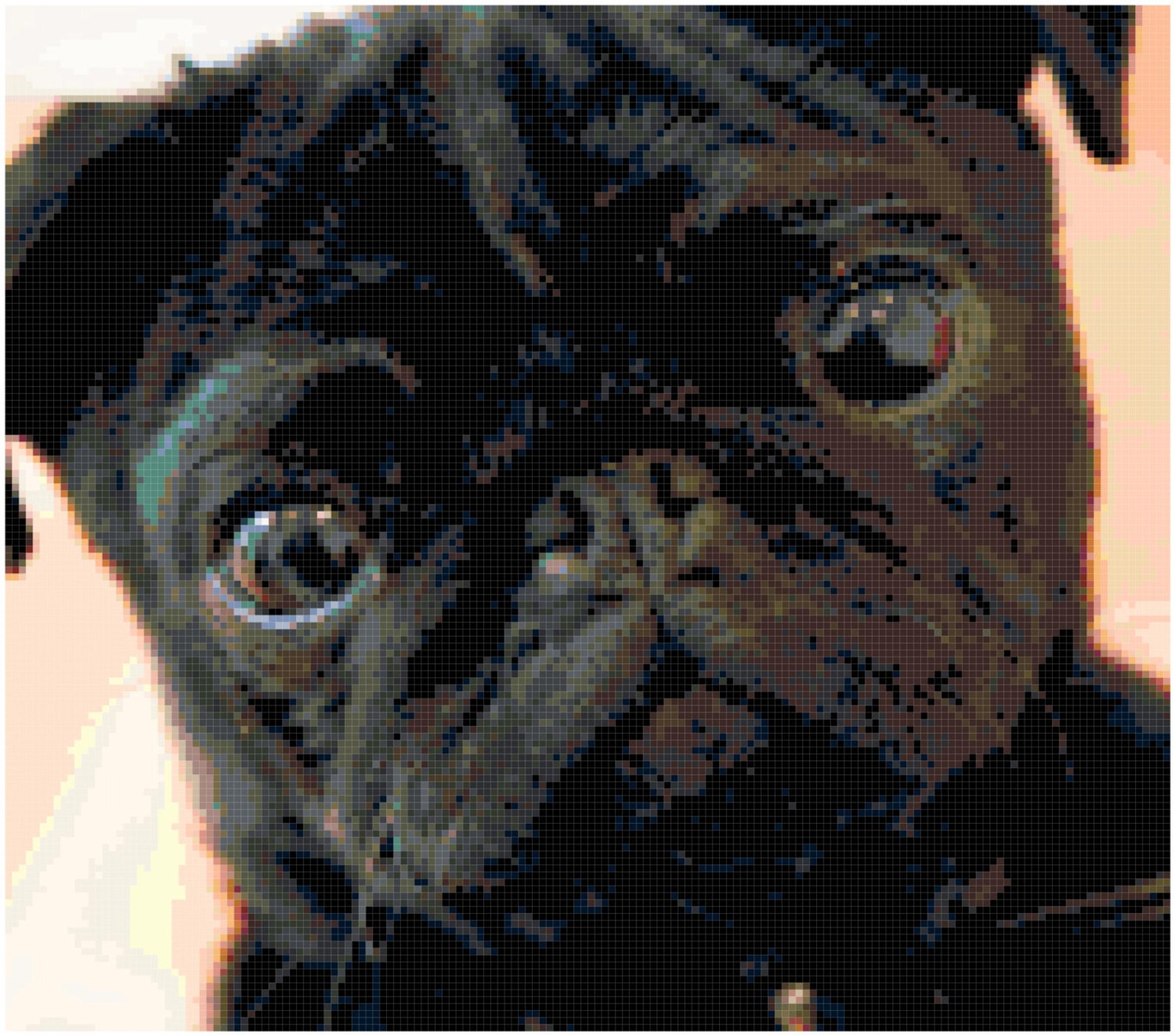 Black Pug Counted Cross Stitch Pattern Chart PDF Download by Stitching