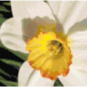 Daffodil Counted Cross Stitch Pattern Chart PDF Download by Stitching Addiction