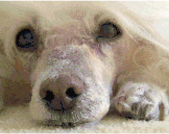 White Cream Poodle Counted Cross Stitch Pattern Chart PDF Download by Stitching Addiction