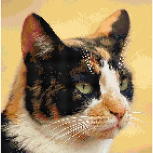 Pode incluir: Um retrato de perto de um gato calico com olhos verdes. O gato tem pêlo branco, preto e laranja. O gato está olhando para a direita do quadro.