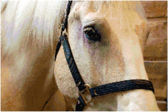 Horse Counted Cross Stitch Pattern Chart PDF Download by Stitching Addiction