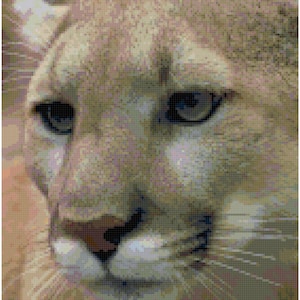 Puma Puma Berglöwe Kreuzstich Anleitung PDF Download by Stitching Addiction