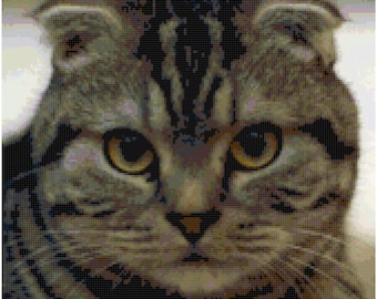 Scottish Fold Kitten Cat Counted Cross Stitch Pattern Chart PDF Download by Stitching Addiction