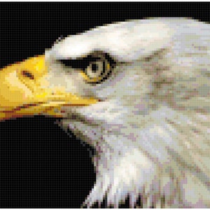 Mächtiger Weißkopfseeadler Kreuzstich Anleitung PDF Download by Stitching Addiction