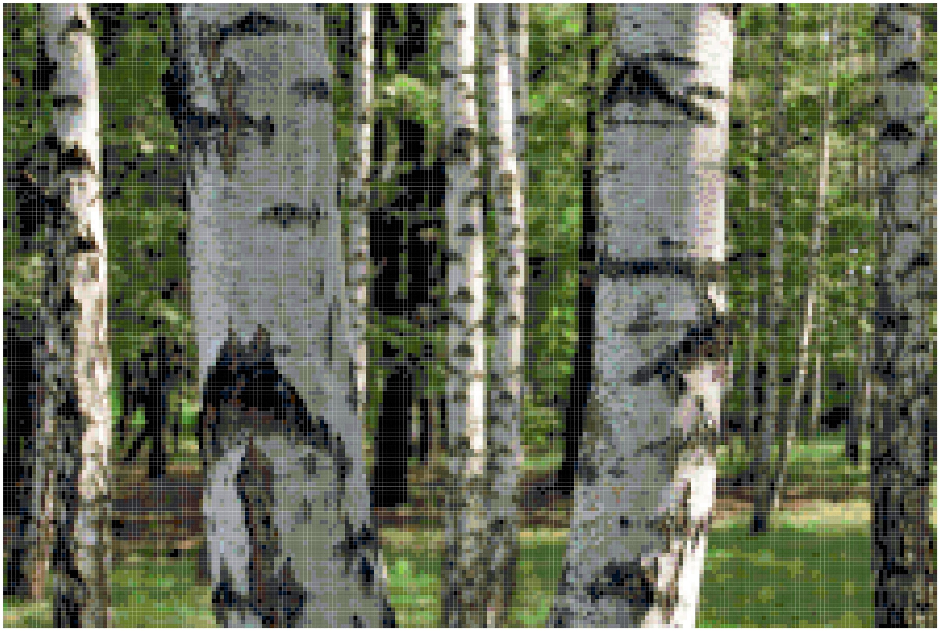 Birch Trees Landscape Counted Cross Stitch Pattern Chart ...