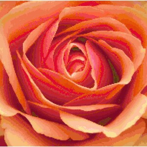 Sunset Rose Orange Red Counted Cross Stitch Pattern Chart PDF Download by Stitching Addiction