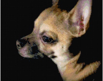 以下が含まれることがあります： 大きな黒い目をした、小さな茶色のチワワのクローズアップ。犬は横を向いており、片方の耳が折れています。