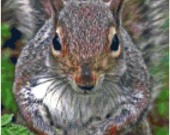 Squirrel Counted Cross Stitch Pattern Chart PDF Download by Stitching Addiction