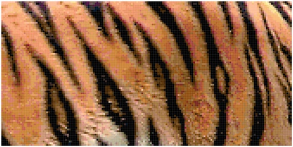 Tiger Stripes Animal Print Counted Cross Stitch Pattern Chart PDF Download by Stitching Addiction