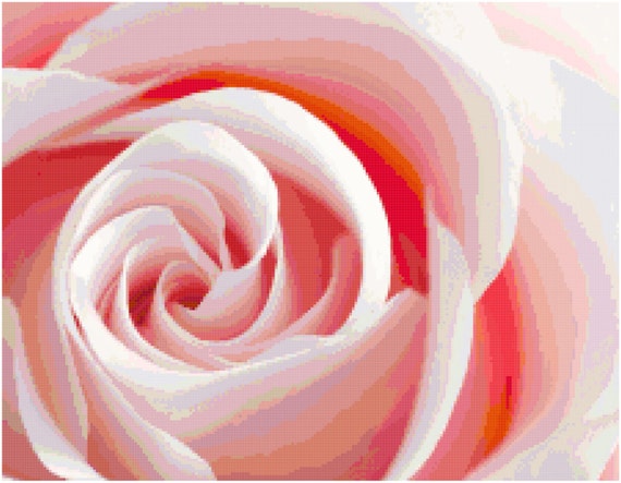 Pretty Baby Pink Rose Counted Cross Stitch Pattern Chart PDF Download by Stitching Addiction