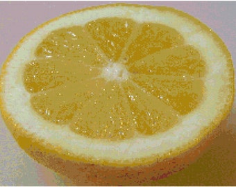 Lemon Counted Cross Stitch Pattern Chart PDF Download by Stitching Addiction