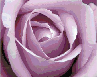 Lavender Purple Rose Counted Cross Stitch Pattern Chart PDF Download by Stitching Addiction