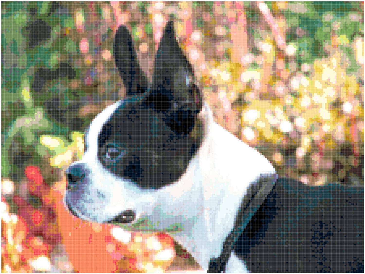 Boston Terrier Counted Cross Stitch Pattern Chart PDF Download Etsy