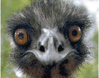 Emu Counted Cross Stitch Pattern Chart PDF Download by Stitching Addiction