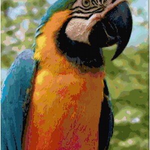May include: A close-up of a blue and orange macaw with a green head. The bird is looking to the right of the frame.