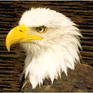 Weißkopfseeadler Kreuzstich Anleitung PDF Download by Stitching Addiction