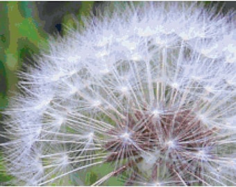 Dandelion Counted Cross Stitch Pattern Chart PDF Download by Stitching Addiction