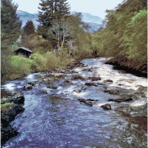 May include: A scenic view of a river flowing through a lush green forest. The river is surrounded by trees and rocks, and the water is clear and blue. The forest is dense and green, and the trees are tall and majestic.