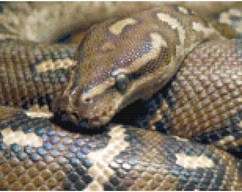 Boa Constrictor Snake Counted Cross Stitch Pattern Chart PDF Download by Stitching Addiction