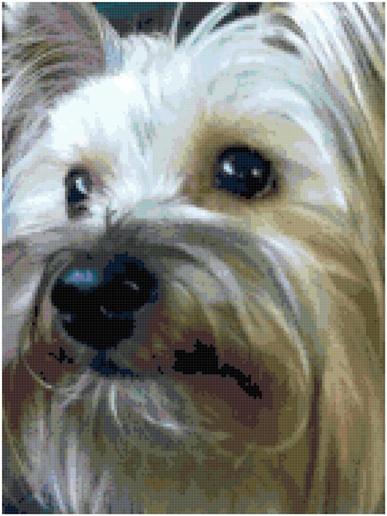 Yorkie Yorkshire Terrier Counted Cross Stitch Pattern Chart Etsy