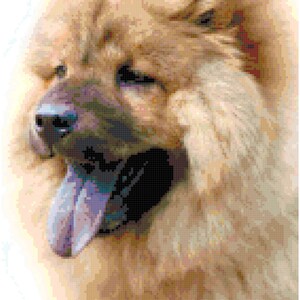 Chow Counted Cross Stitch Pattern Chart PDF Download by Stitching Addiction
