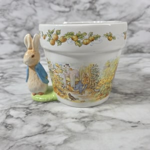 May include: A white ceramic planter shaped like a flower pot featuring a three-dimensional Peter Rabbit figure attached to the side. The pot is decorated with a colorful garden scene illustration and a border of small yellow fruits and green leaves.