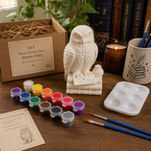 May include: A DIY paint your own snow owl kit featuring a white owl figurine perched on books with an envelope, a cardboard box labeled DIY Paint Your Own Snow Owl, twelve small paint pots, a white plastic palette, and two paintbrushes.
