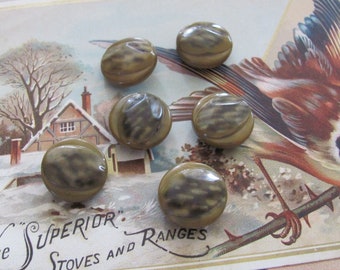 6 Art Deco Plastic Celluloid Metal Back Shank Buttons 18mm // Antique Vintage Collectible Buttons // Many more to choose from