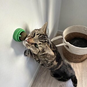 May include: A brown tabby cat interacts with a round, textured brown catnip ball mounted in a bright green plastic holder attached to a white wall. Nearby sits a two-toned woven basket with white rope handles and a dark interior lining.