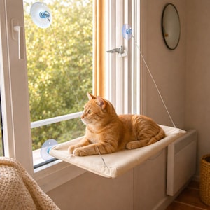 Cuccia per gatti da finestra fatta a mano – Trespolo sospeso con ventosa resistente, comodo sedile da interno per gatti fino a 20 kg