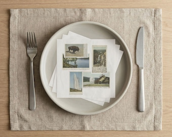 Paper Vintage National Park Postcards Napkins | Cocktail Napkins