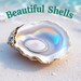 Beatifulshells