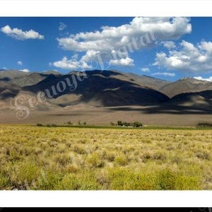 Puede incluir: Una fotografía panorámica de paisaje que muestra un vasto campo seco de matorrales amarillos y verdes en primer plano, que conduce a una cadena de montañas oscuras y sombreadas bajo un cielo azul brillante con nubes blancas.