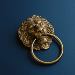 Pu&ograve; includere: Un battente per porta in metallo color ottone raffigurante una scultura dettagliata di testa di leone con una criniera fluida e un anello circolare tenuto nella bocca del leone. La ferramenta ha una finitura metallica con aree scure.