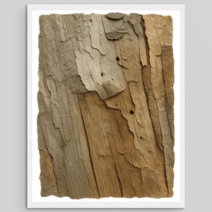 Peut inclure: Une impression murale rectangulaire présentant un gros plan haute résolution d'écorce d'arbre altérée. La surface affiche des textures superposées et écaillées dans des tons de beige, de brun clair et de sable, avec de petits trous circulaires.