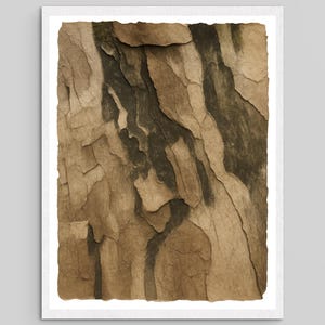 Peut inclure: Une impression d'art mural rectangulaire présentant une texture en gros plan d'écorce d'arbre à fort contraste. La surface affiche des sections superposées et écaillées dans des tons de beige, de brun clair et de brun foncé.