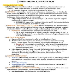 May include: A printed document titled CONSTITUTIONAL LAW BIG PICTURE, outlining federal judicial power. It details justiciability, standing, third party and organization standing, ripeness, mootness, supreme court review, and sovereign immunity.