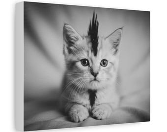 Black and White Punk Kitten Canvas | Matte Stretched Wall Art