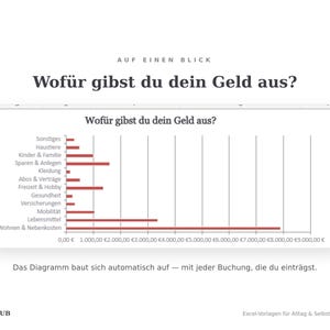 Balkendiagramm Wofür gibst du dein Geld aus: Ausgaben nach Kategorie, automatisch berechnet