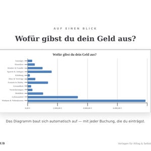 Balkendiagramm Wofür gibst du dein Geld aus: Ausgaben nach Kategorie, automatisch berechnet