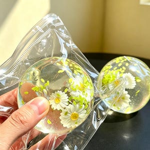 May include: Two clear, spherical resin paperweights containing embedded white daisy flowers and small green leaves. The spheres have a smooth, glossy finish and are encased in transparent plastic packaging, showing floral details.