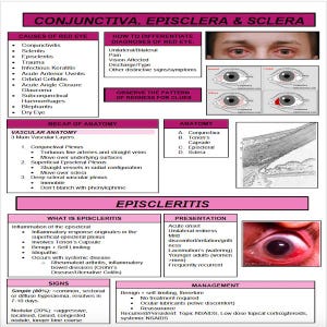 Optometry Pathology Notes image 2