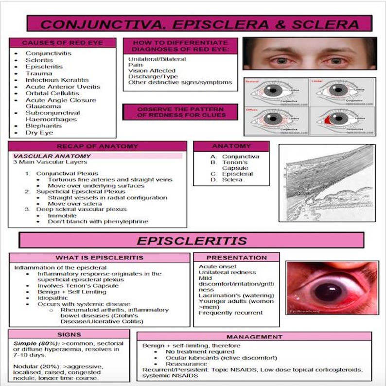 Optometry Pathology Notes image 2