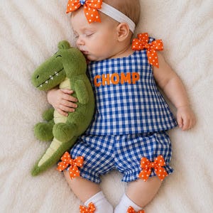 Infant Florida Gator Dress