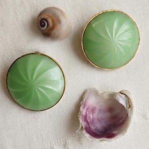 May include: Two round, light green buttons with a swirling, radial pattern and thin gold-toned rims, accompanied by two small, natural seashells, one with a smooth tan spiral and the other with an open, iridescent purple and white interior.