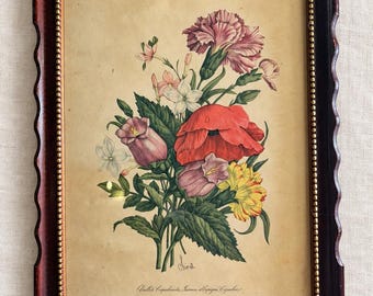 Vintage French Botanical Print Benoit Chirat Framed Poppy Floral Art 13 In