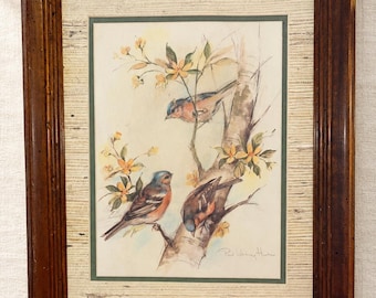 Vintage Framed Bird Print Paul Whitney Hunter Chaffinch Grasscloth 17 In