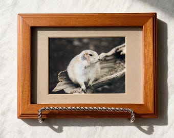 Vintage Framed Prairie Dog Photo Suede Mat Twisted Metal Easel Wildlife 9 In