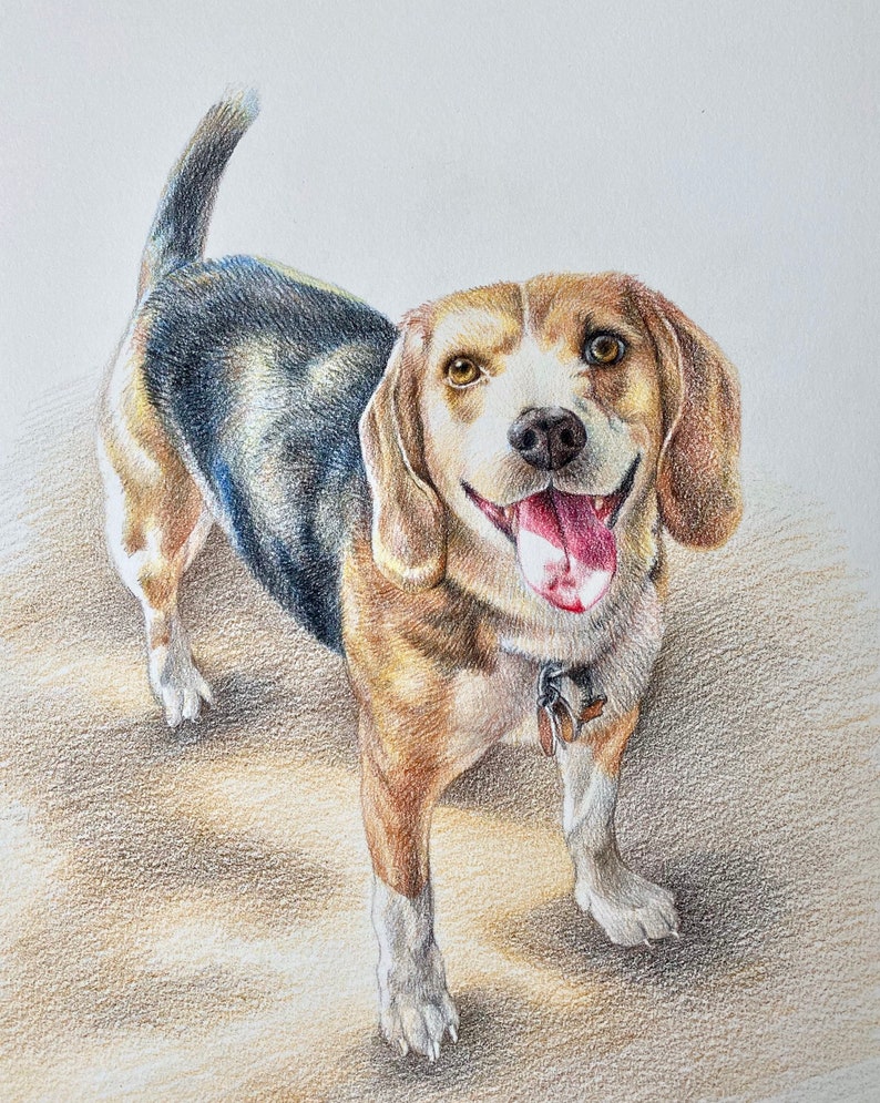 Custom colored pencil portrait commission from photo image 5